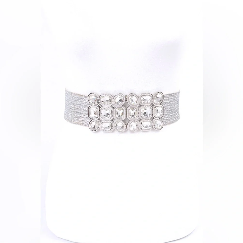Plus Size Gold or Silver Rhinestone Straw Statement Belt